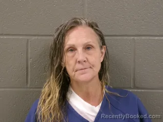 Mugshot of Meegan Shay Wilson booked in Wood County, Ohio on August 20, 2026