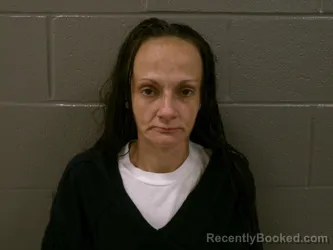 Mugshot of NICHOLE LEE DROUILLARD booked in Wood County, Ohio on June 30, 2026
