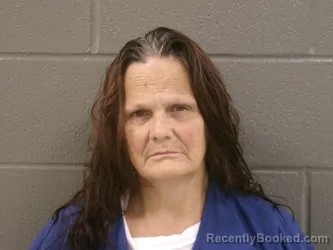 Mugshot of Nancy Lecarol Stewart booked in Wood County, Ohio on September 3, 2026
