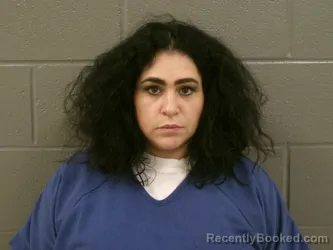 Mugshot of NOEL OSAMA SWIDAN booked in Wood County, Ohio on April 3, 2026