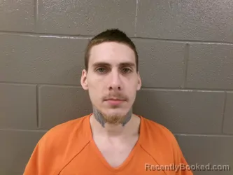 Mugshot of RONALD EDWARD GARRISON booked in Wood County, Ohio on March 18, 2026