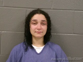 Mugshot of SEANNA JEAN MARIE SALGAU booked in Wood County, Ohio on May 17, 2026