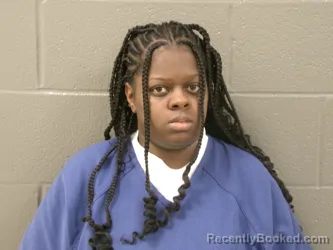 Mugshot of SIERRA LA`NIECE SISSON booked in Wood County, Ohio on March 27, 2026