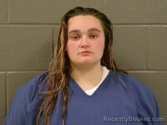 Mugshot of TIFFANY MARIE PATTERSON booked in Wood County, Ohio on June 5, 2026