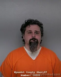 Mugshot of DAVID VINCENT BROOKS
