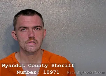 Mugshot of AACIN L WEBB booked in Wyandot County, Ohio on April 18, 2026