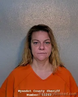 Mugshot of CHRISTINA LYNN HIGGINS booked in Wyandot County, Ohio on April 13, 2026