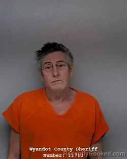 Mugshot of DONALD L SOVINE