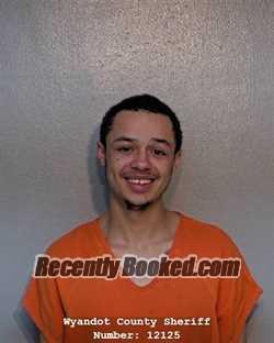 Booking photo from Wyandot County, Ohio