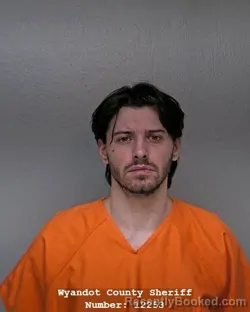 Mugshot of TIMOTHY CAINE DEVIEW