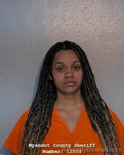 Mugshot of MONIQUE REHANNA GARRETT booked in Wyandot County, Ohio on April 20, 2026