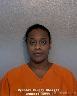 Mugshot of JORDAN CHIAN LONG