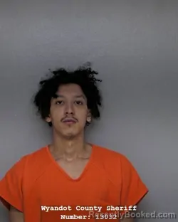 Booking photo from Wyandot County, Ohio