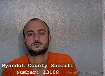 Mugshot of BACHO SHOTADZE