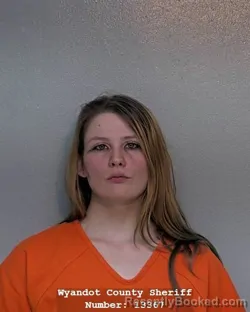 Mugshot of ALEXIS ERICKA SLONE booked in Wyandot County, Ohio on March 24, 2026