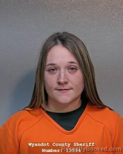 Mugshot of MADISON L OPP