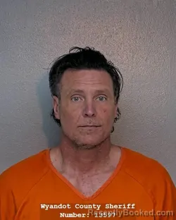 Mugshot of BRADFORD S TESNER