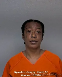 Mugshot of NEADALANT C WASHINGTON booked in Wyandot County, Ohio on March 24, 2026