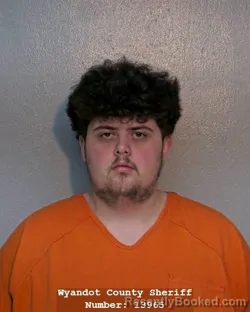 Mugshot of DAVID ASHTEN TODD LIVINGSTON booked in Wyandot County, Ohio on April 11, 2026