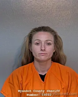 Mugshot of NATALEE MICHELLE MCINTYRE booked in Wyandot County, Ohio on April 15, 2026