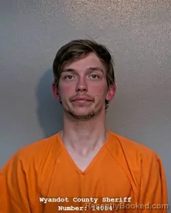 Mugshot of JONATHAN CHRISTOPHER RYLE booked in Wyandot County, Ohio on April 15, 2026