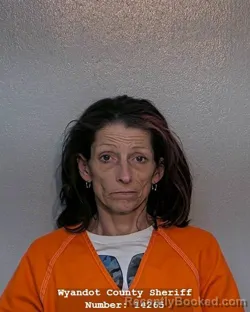 Mugshot of HEIDI S GONZALEZ booked in Wyandot County, Ohio on April 30, 2026