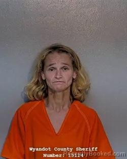 Mugshot of AMANDA KAY WARD booked in Wyandot County, Ohio on June 25, 2026