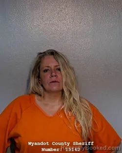 Mugshot of DANIELLE RENAE SCHUMANN booked in Wyandot County, Ohio on June 27, 2026