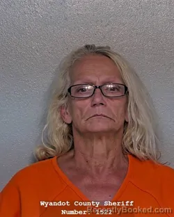 Mugshot of LORI ANN THOMPSON