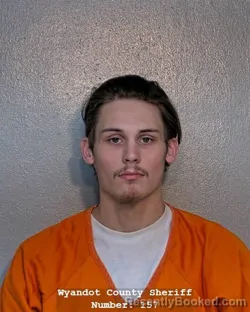 Mugshot of DYLON M BICE