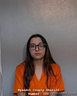 Mugshot of PAIGE M BEEBE