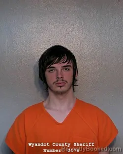 Mugshot of LANDON MICHAEL NELSON