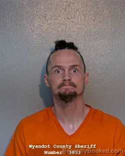 Mugshot of DUSTIN ALLEN STCLAIR booked in Wyandot County, Ohio on March 27, 2026