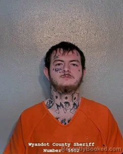 Mugshot of DYLAN N CAMPBELL