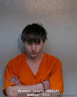 Mugshot of CHARLES LEEVI MAURYCE FOLTZ-LUIKART booked in Wyandot County, Ohio on April 13, 2026