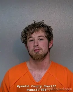 Mugshot of WILLIAM G SCHAFER booked in Wyandot County, Ohio on April 20, 2026