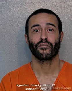 Mugshot of ANTHONY WAYNE COLE