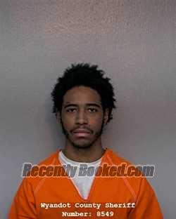 Booking photo from Wyandot County, Ohio