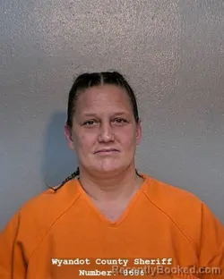 Mugshot of ASHLEY L BRADLEY booked in Wyandot County, Ohio on April 25, 2026