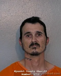 Mugshot of ALLEN MICHAEL DANNER