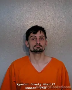 Mugshot of DAVID ALLEN THOMAS JOHNSON