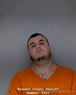 Mugshot of ALEX MICHAEL NAEYAERT