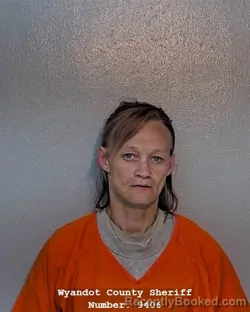 Mugshot of KACY JEANETTE SWAN booked in Wyandot County, Ohio on June 16, 2026