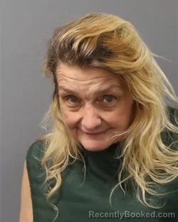 Mugshot of KELLY LEE ZANA booked in Berks County, Pennsylvania on May 15, 2026