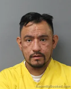 Mugshot of LUIS MIGUEL ROSEL-BOBADILLA