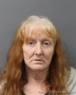 Mugshot of HOLLY DEE WILLIAMS booked in Berks County, Pennsylvania on April 17, 2026