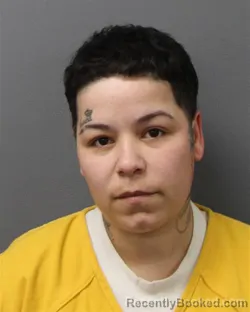 Mugshot of YOLANDA FIGUEROA booked in Berks County, Pennsylvania on April 3, 2026