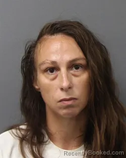 Mugshot of Tammy L Cogswell booked in Berks County, Pennsylvania on July 27, 2026