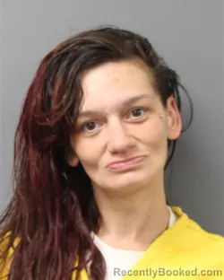 Mugshot of SUHEY SANTIAGO-SCHOMBURG