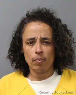 Mugshot of LAIZA ENID HERNANDEZ